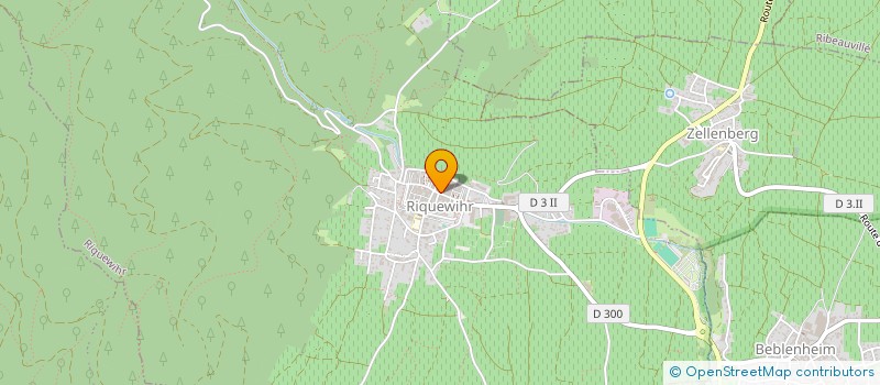 localisation de l'entreprise CONSEIL PRESBYTERAL EGLISE LUTHERIENNE - PAROISSE DE RIQUEWIHR  RIQUEWIHR