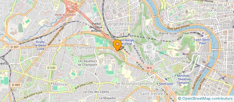 localisation de l'entreprise CONSEIL REGIONAL ORDRE DES VETERINAIRES à LYON