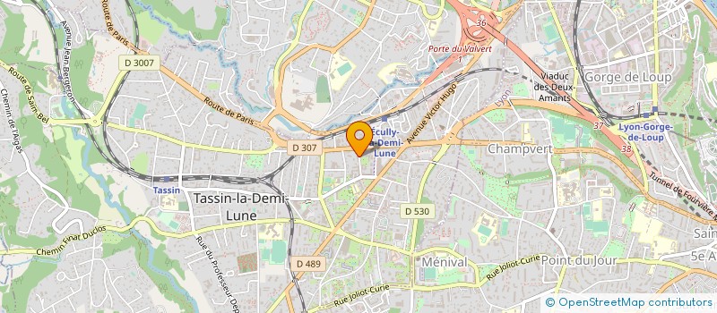 localisation de l'entreprise CONSEIL, SERVICE, TRANSACTION, GESTION, IMMOBILIER à TASSIN-LA-DEMI-LUNE
