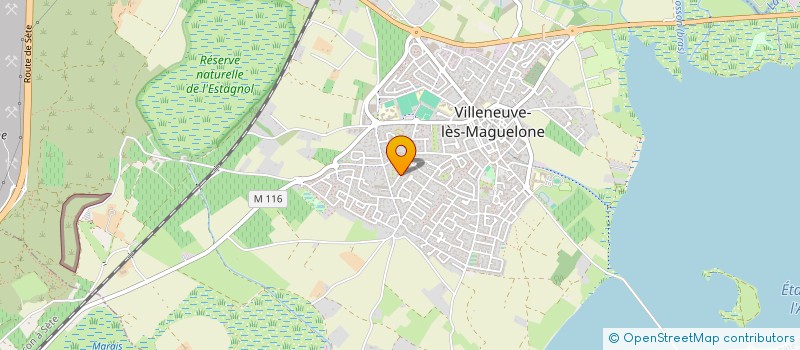 localisation de l'entreprise CONSEIL ZHONG FU  VILLENEUVE-LES-MAGUELONE