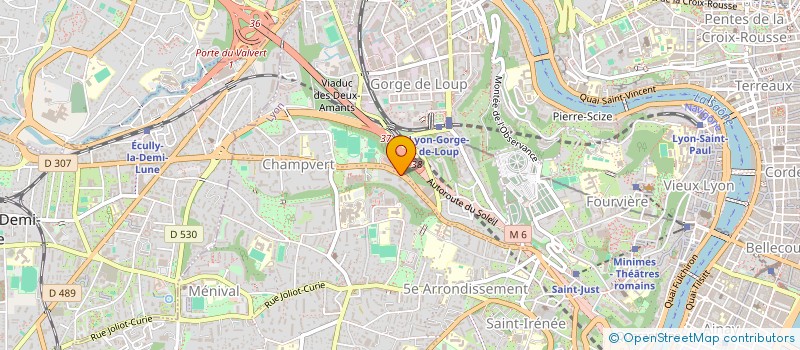 localisation de l'entreprise CONSEILS EXPERTISES ET ASSURANCES  LYON