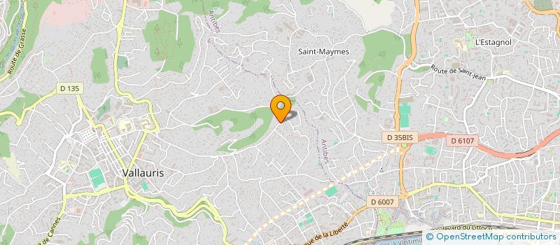 localisation de l'entreprise CONSELTIS  VALLAURIS