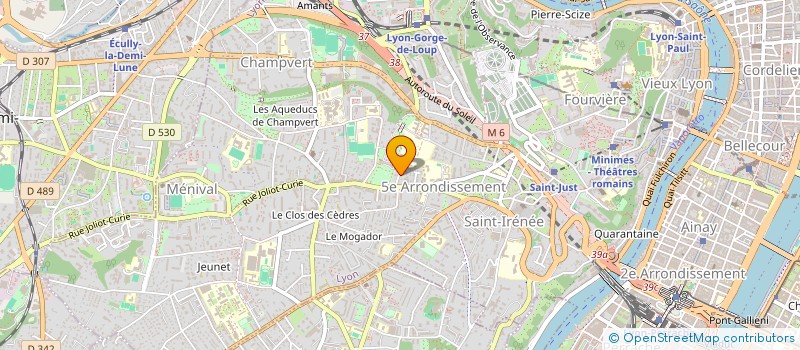 localisation de l'entreprise CONSOPT à LYON