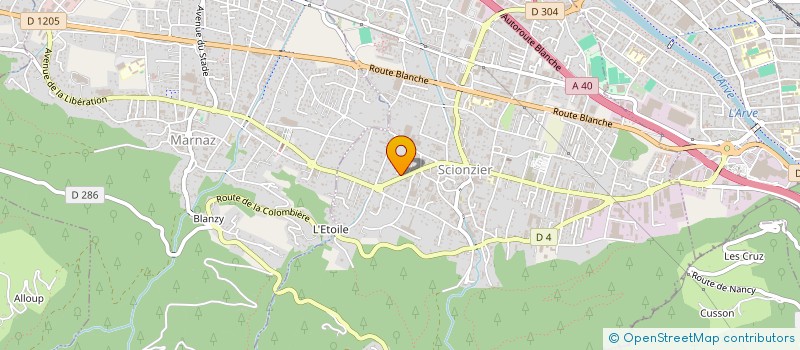 localisation de l'entreprise CONSORT DEPERY à SCIONZIER