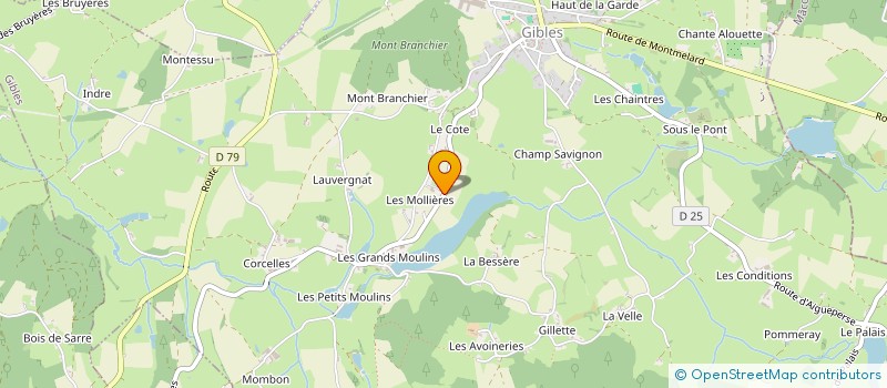 localisation de l'entreprise CONSTRUCTIONS METALLIQUES DU BEAUJOLAIS à GIBLES