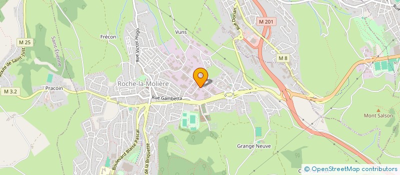 localisation de l'entreprise CONSULT'N SPORT à ROCHE-LA-MOLIERE