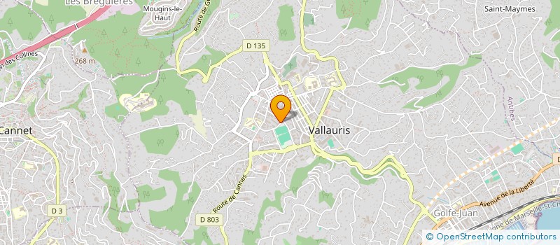 localisation de l'entreprise CONSULTANT ARTISAN PRAGMATIQUE  VALLAURIS