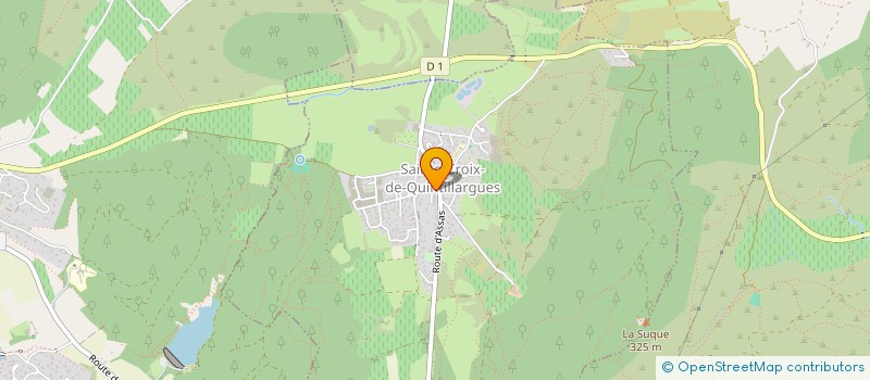 localisation de l'entreprise CONTROLE DU PIC  SAINTE-CROIX-DE-QUINTILLARGUES