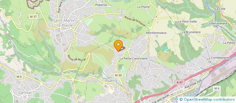 localisation de l'entreprise CONTROLE TECHNIQUE AUTOMOBILE GONON PICARD  SAINT-MARTIN-LA-PLAINE