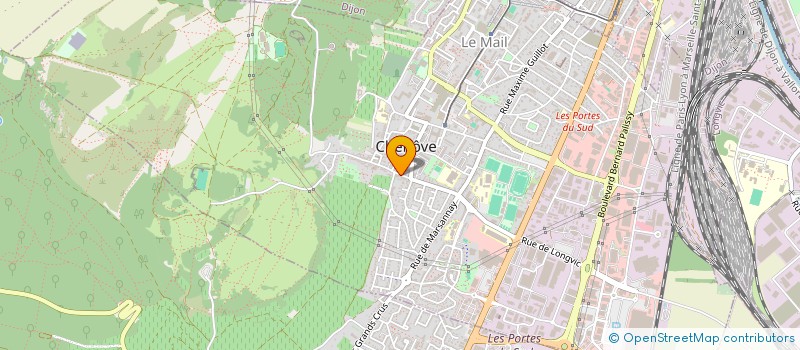 localisation de l'entreprise COOL SWINGERS JAZZ à CHENOVE