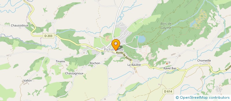 localisation de l'entreprise COOPERATIVE D ESTIVE DE LA GENESTE  PICHERANDE