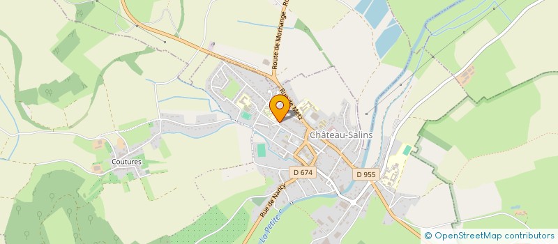 localisation de l'entreprise COOPERATIVE SCOLAIRE DE L'ECOLE MATERNELLE DE CHATEAU SALINS  CHATEAU-SALINS