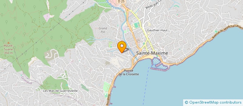 localisation de l'entreprise COP LA PALMERAIE II à SAINTE-MAXIME