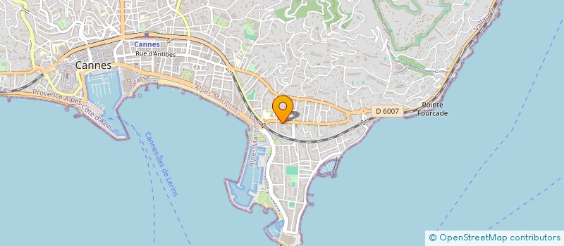 localisation de l'entreprise COP LE PALAIS FLEURI  CANNES