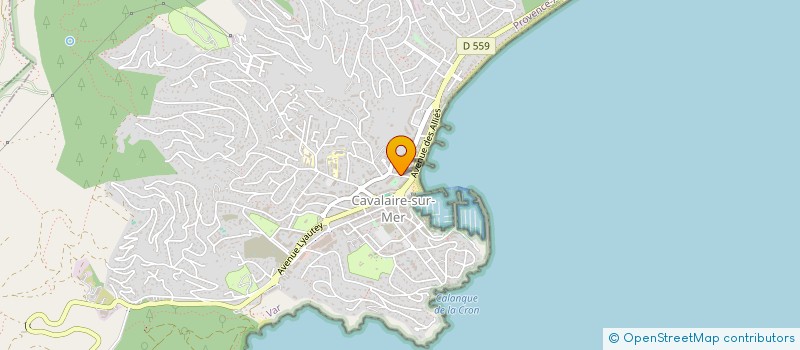 localisation de l'entreprise COP LES ALIZES à CAVALAIRE-SUR-MER