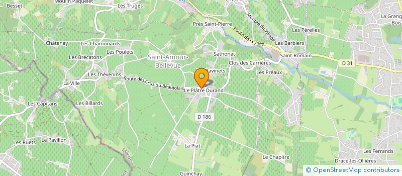 localisation de l'entreprise COPERATIVE PROPAGANDE CRU ST AMOUR à SAINT-AMOUR-BELLEVUE