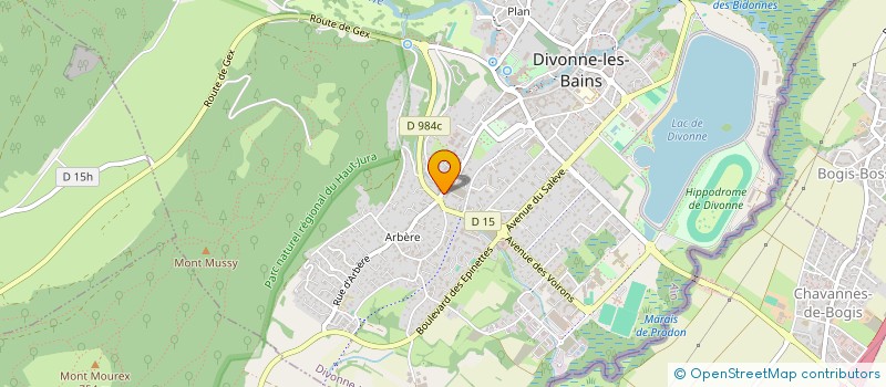 localisation de l'entreprise COPR LE BLUET D'ARBERE à DIVONNE-LES-BAINS