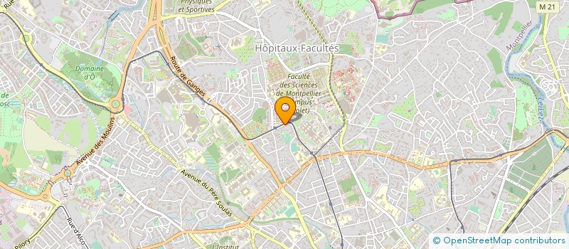 localisation de l'entreprise COPRO *CITE DES PINS CITE à MONTPELLIER