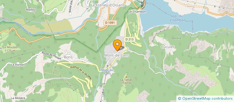 localisation de l'entreprise COPROP ALPINA 1  LES DEUX ALPES