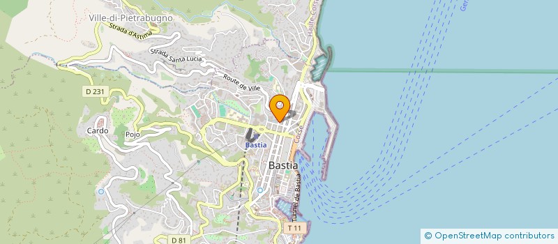 localisation de l'entreprise COPROPRIETE 36 R CESAR CAMPINCHI à BASTIA
