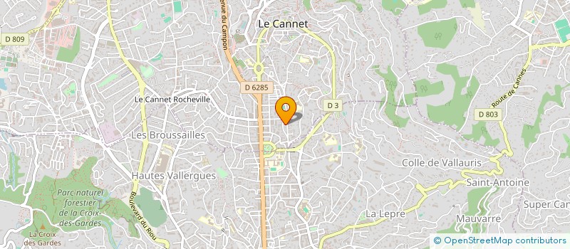 localisation de l'entreprise COPROPRIETE 85 BIS à LE CANNET