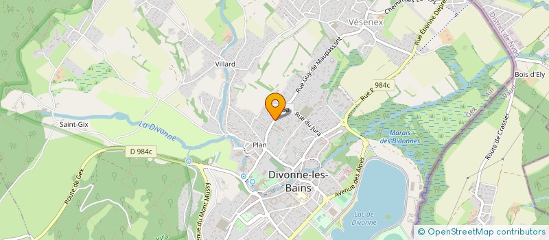 localisation de l'entreprise COPROPRIETE BELLEVUE DE PLAN à DIVONNE-LES-BAINS