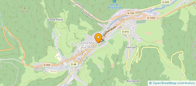 localisation de l'entreprise COPROPRIETE BLECH- REBER  SAINTE-MARIE-AUX-MINES