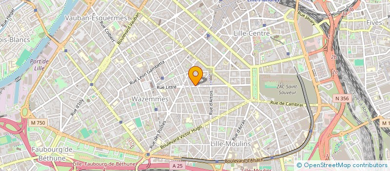 localisation de l'entreprise COPROPRIETE BRULE MAISON à LILLE