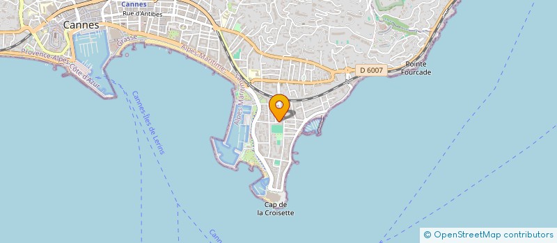 localisation de l'entreprise COPROPRIETE JARDINS PALM BEACH  CANNES