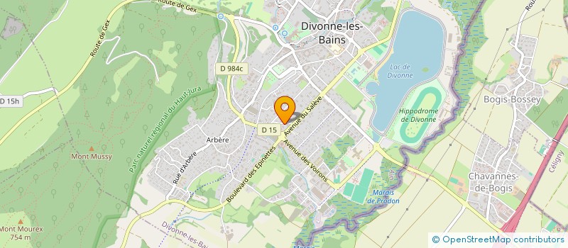 localisation de l'entreprise COPROPRIETE LA GRANGE CHAMPAGNE  DIVONNE-LES-BAINS