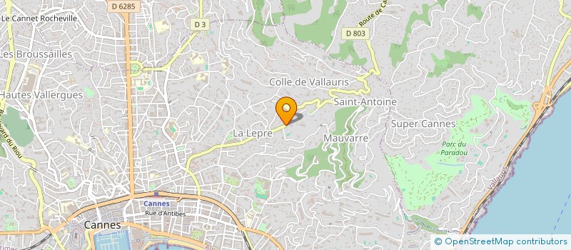 localisation de l'entreprise COPROPRIETE LA ROSERAIE SPRINGLAND  CANNES