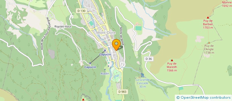 localisation de l'entreprise COPROPRIETE LE COTTAGE  MONT-DORE