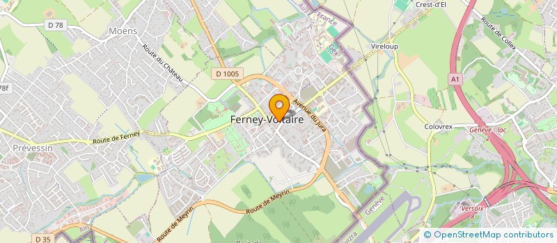 localisation de l'entreprise COPROPRIETE LE MONT BLANC à FERNEY-VOLTAIRE