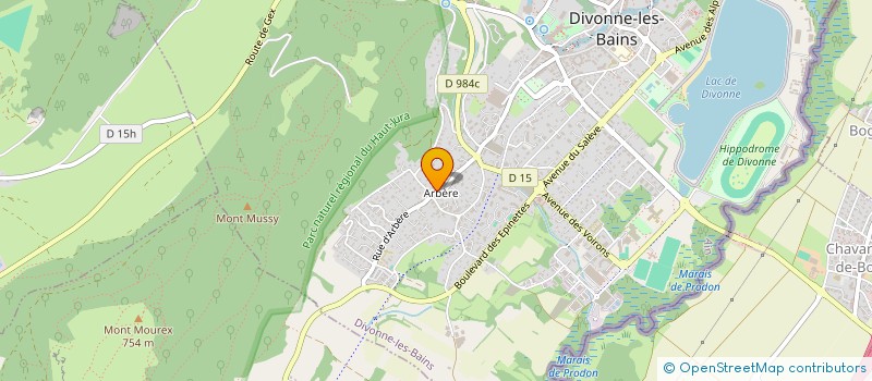 localisation de l'entreprise COPROPRIETE LE PASSIFLORE à DIVONNE-LES-BAINS