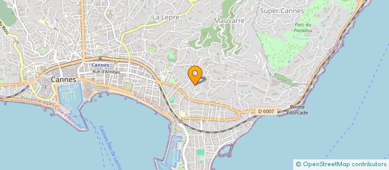 localisation de l'entreprise COPROPRIETE LES BALMETTES  CANNES