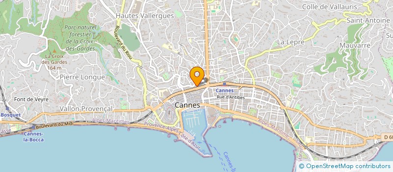 localisation de l'entreprise COPROPRIETE LES GOELANDS  CANNES