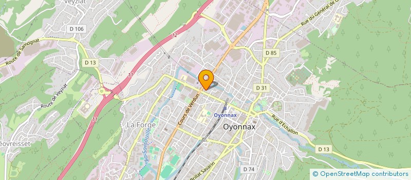 localisation de l'entreprise COPROPRIETE LES JAPONAIS  OYONNAX