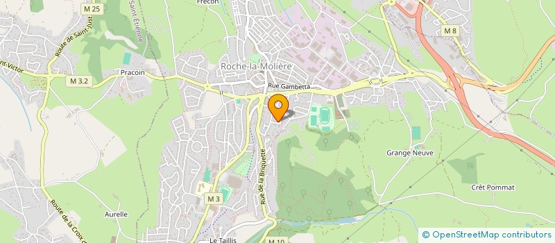 localisation de l'entreprise COPROPRIETE LES LORIOTS  ROCHE-LA-MOLIERE