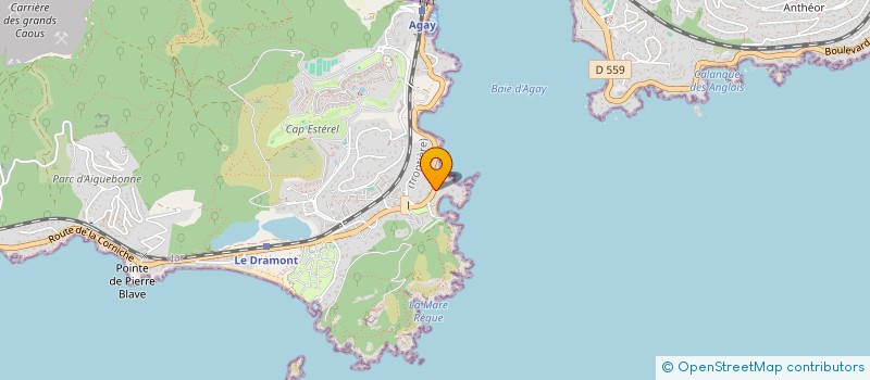 localisation de l'entreprise COPROPRIETE LES PALMIERS à SAINT-RAPHAEL