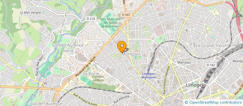 localisation de l'entreprise COPROPRIETE LES PALMIERS N°10 à LIMOGES