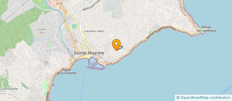 localisation de l'entreprise COPROPRIETE LES PINS BLEUS à SAINTE-MAXIME
