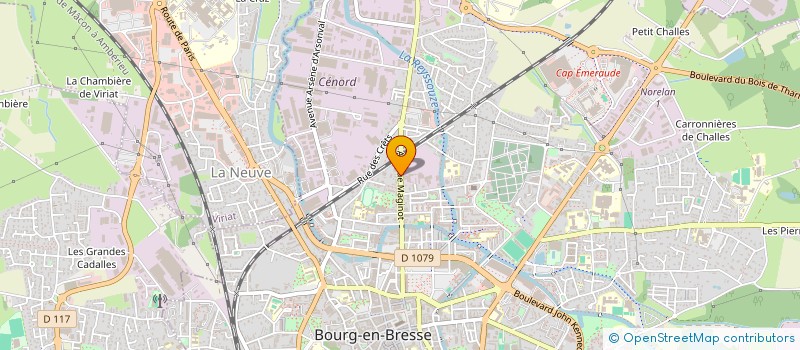 localisation de l'entreprise COPROPRIETE LES THUYAS à BOURG-EN-BRESSE
