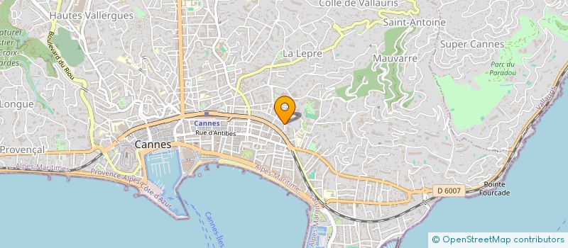 localisation de l'entreprise COPROPRIETE LES VENITIENNES  CANNES