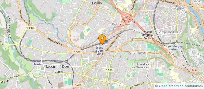 localisation de l'entreprise COPROPRIETE PARCS TASSIN I ET II  TASSIN-LA-DEMI-LUNE