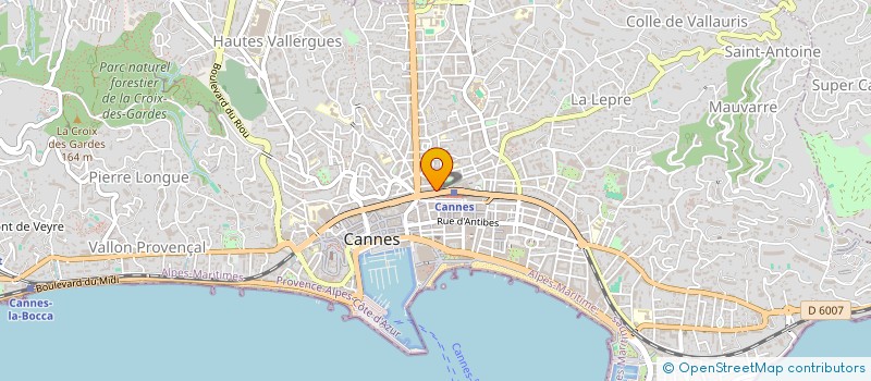 localisation de l'entreprise COPROPRIETE VILLA GUSTAVE  CANNES