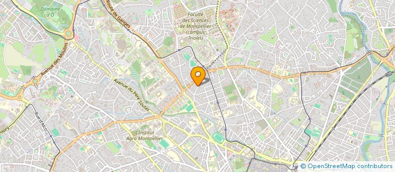 localisation de l'entreprise CORPUS MEMORIA à MONTPELLIER