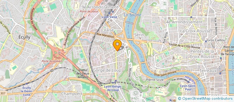 localisation de l'entreprise COSEM LY9  LYON