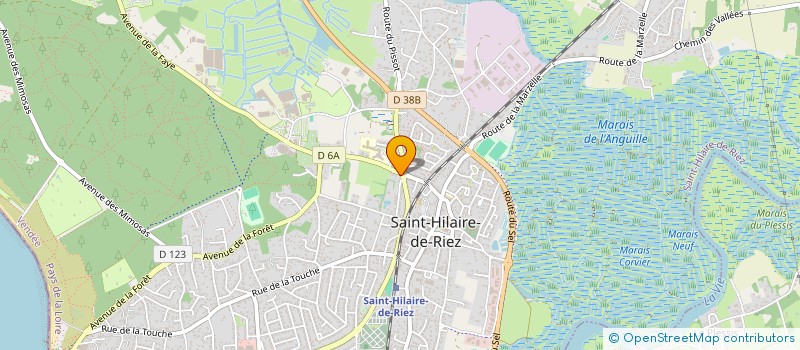 localisation de l'entreprise COTE MER ET LUMIERE à SAINT-HILAIRE-DE-RIEZ