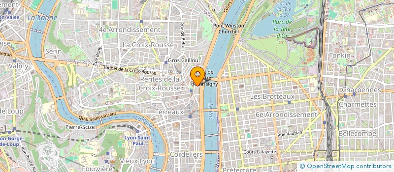 localisation de l'entreprise COTE SCENE à LYON