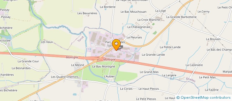 localisation de l'entreprise COTTES ACTION  TORCE